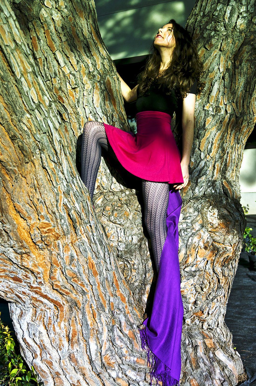 Woman in black fishnet tights with a magenta skirt and purple scarf, climbing a large tree trunk