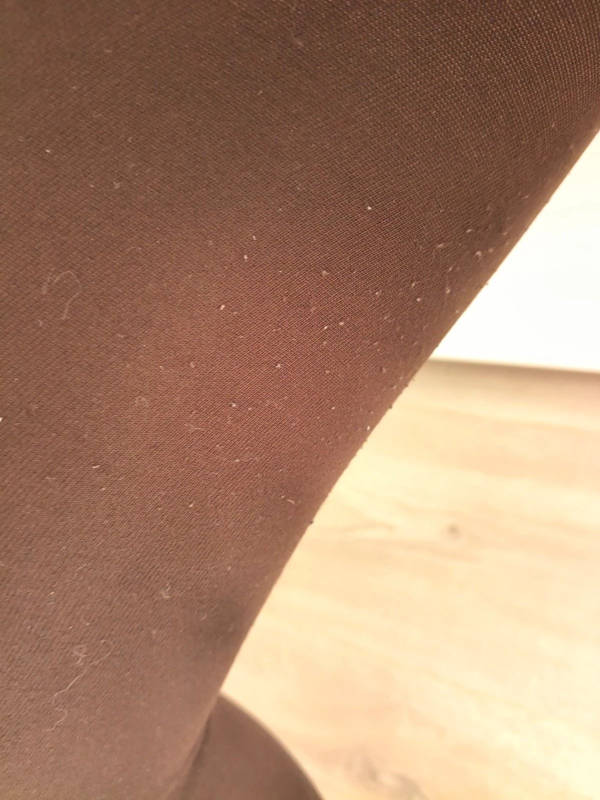 Espresso Brown Footless Tights photo 5